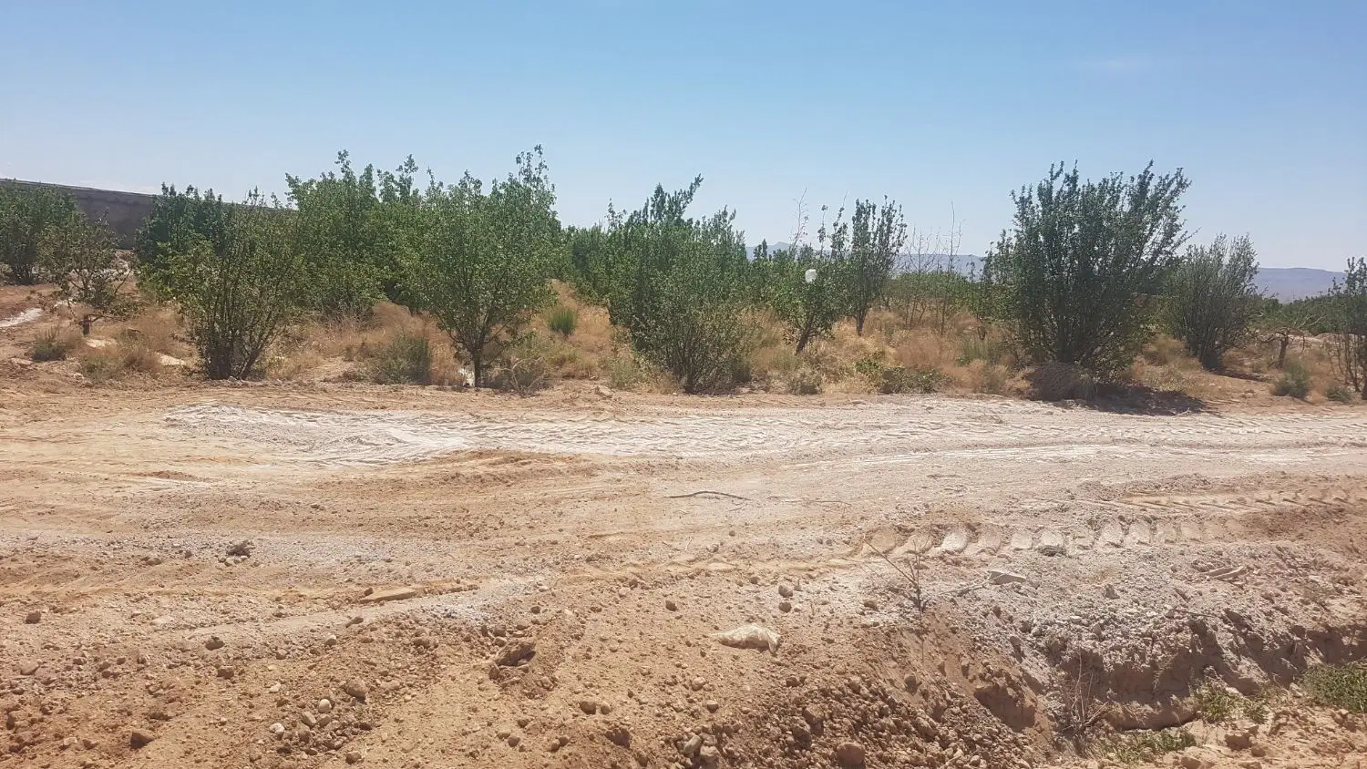 فروش زمین میدان ((اصلی شهرک فدک))