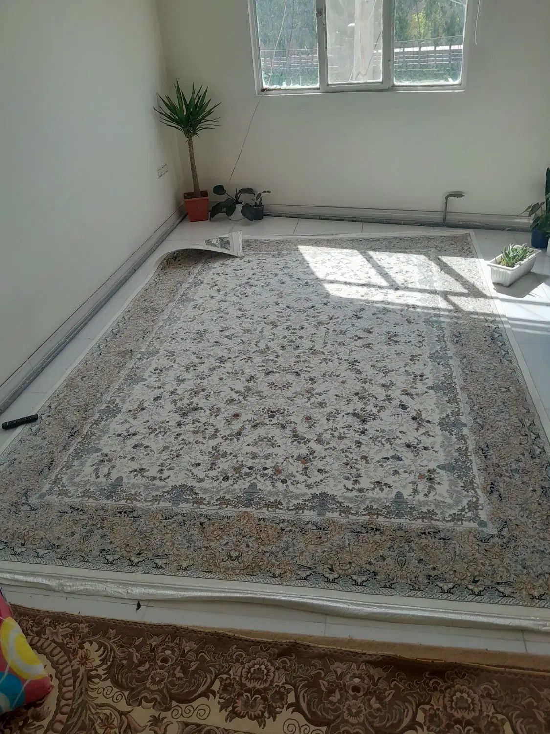 به یک همخونه خانم