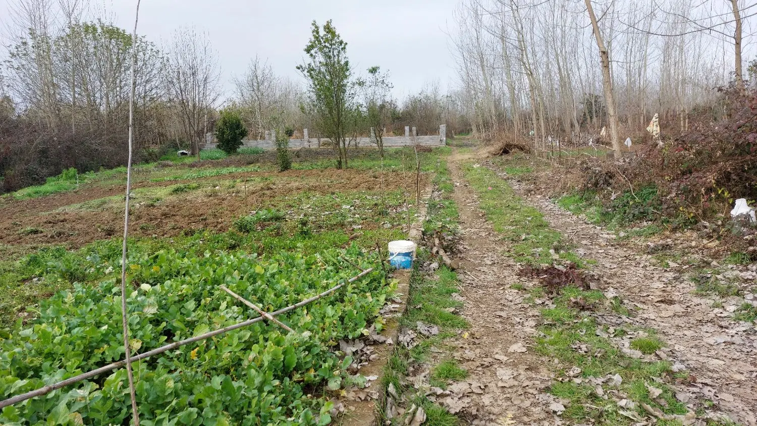 یک قطعه زمین ۵۰۰ متری