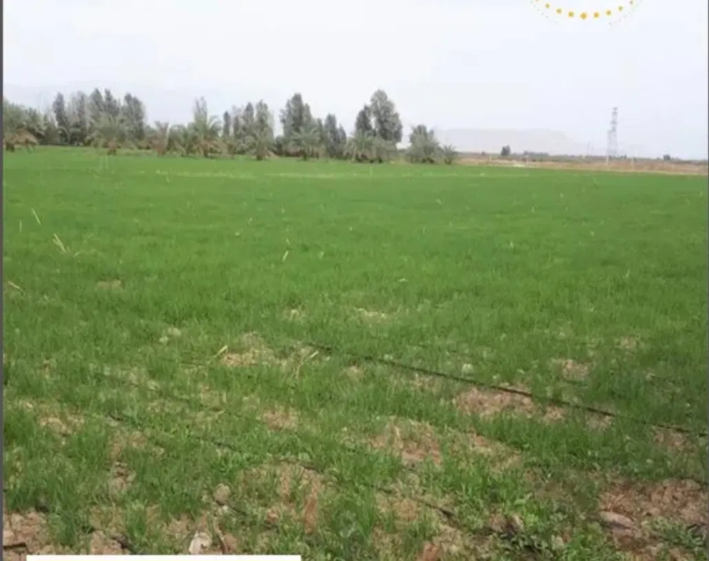 فروش زمین مناسب باغ ویلا گلخانه و...