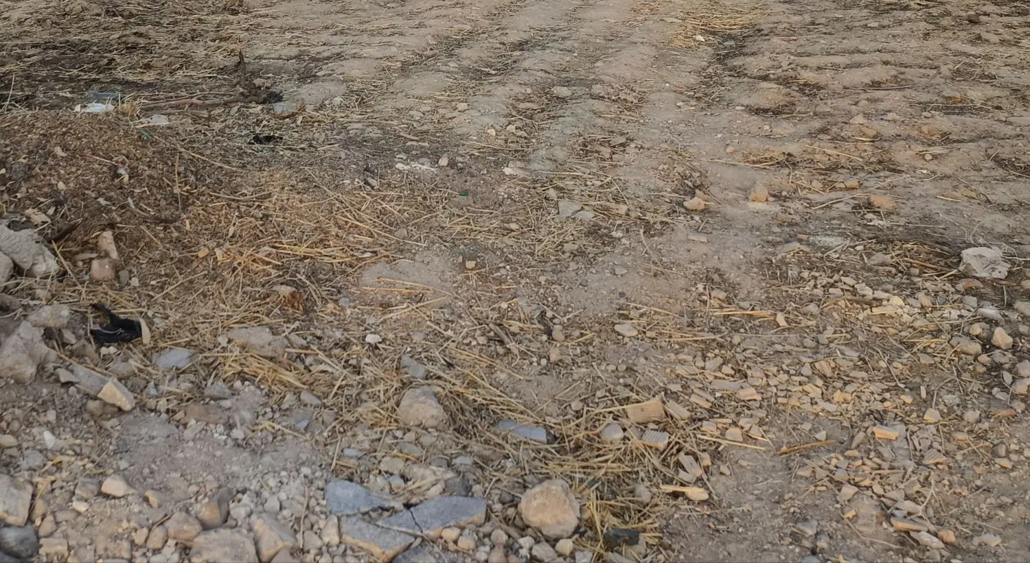 فروش یک قطعه زمین در سمغان
