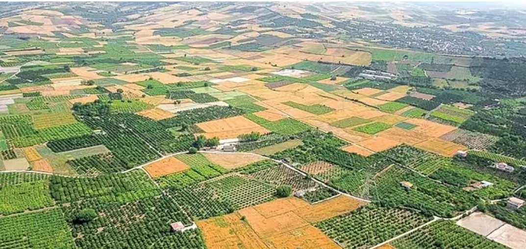 اجاره زمین صبیری