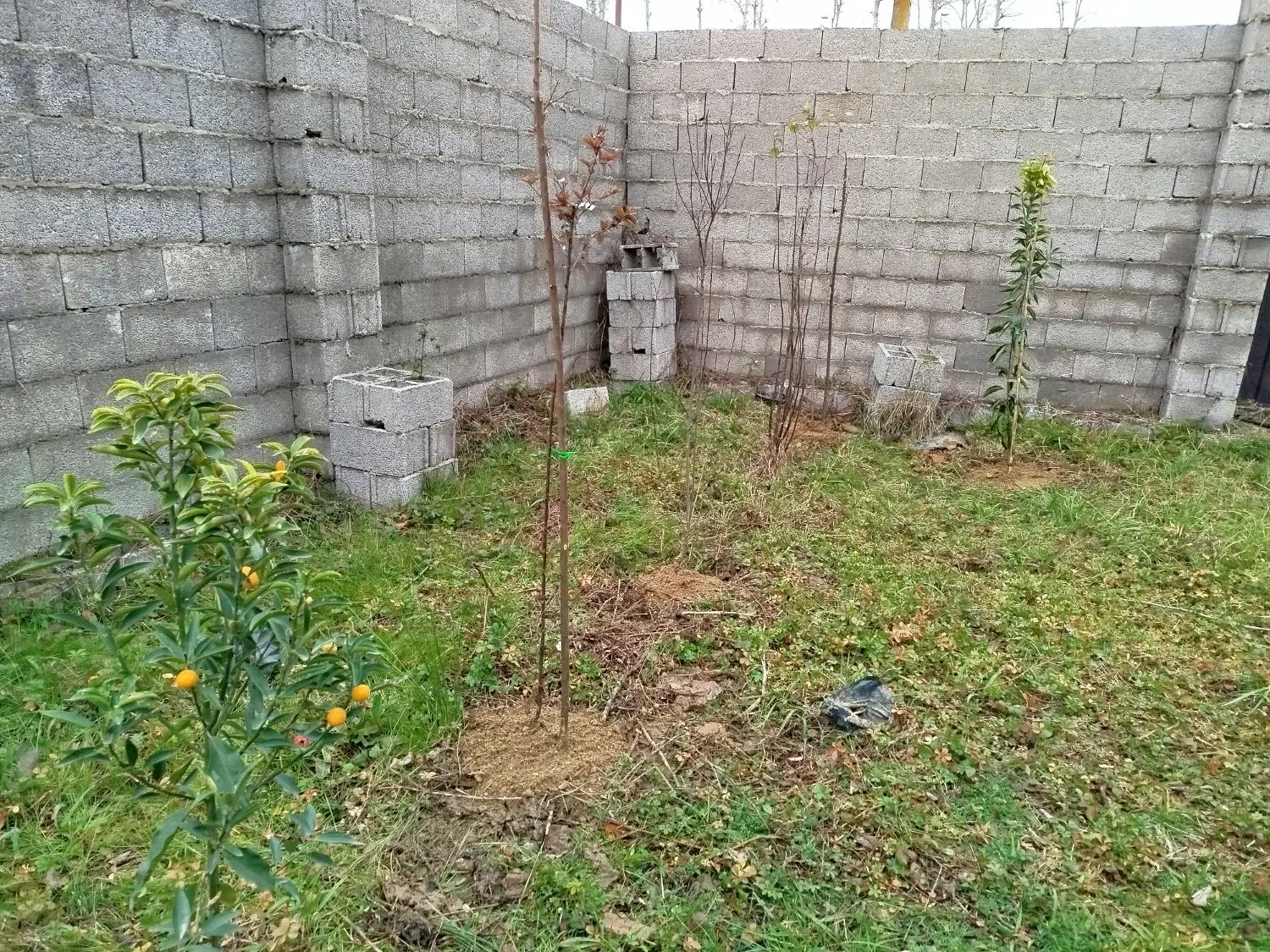 زمین سندار ‌خیابان اصلی