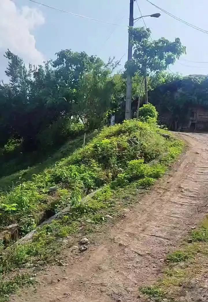 زمین مسکونی در ارتفاع با ویوی ۳۶۰درجه و بدون مُشرف