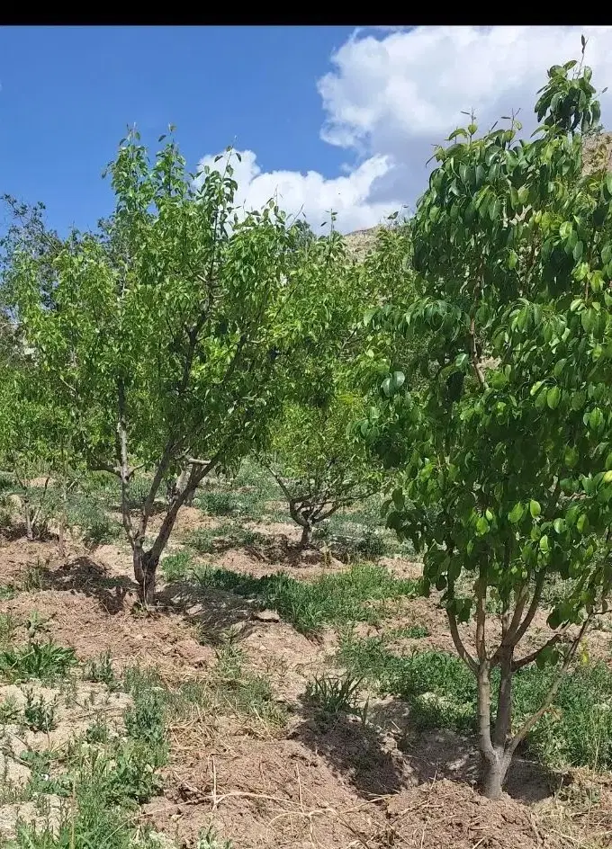 خانه ویلایی در زرین دشت