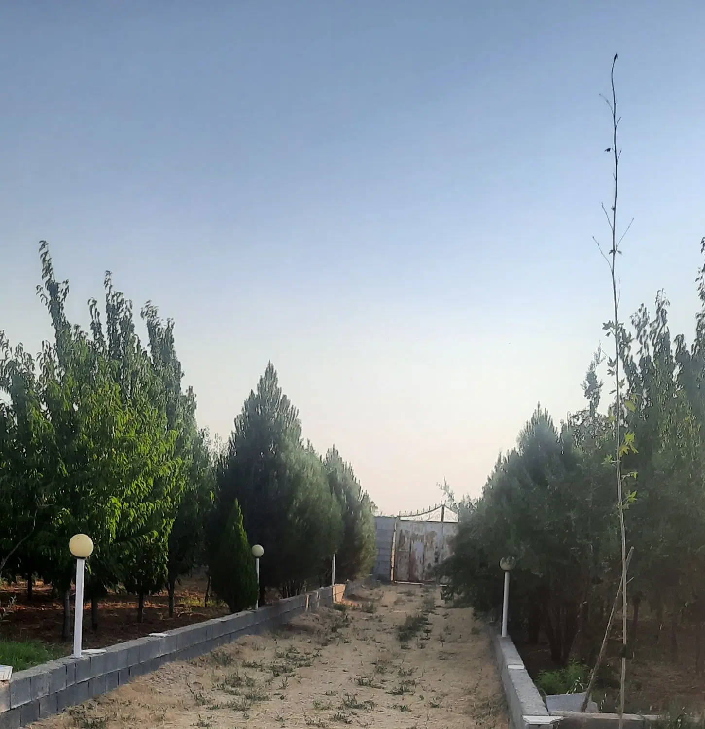 فروش باغ