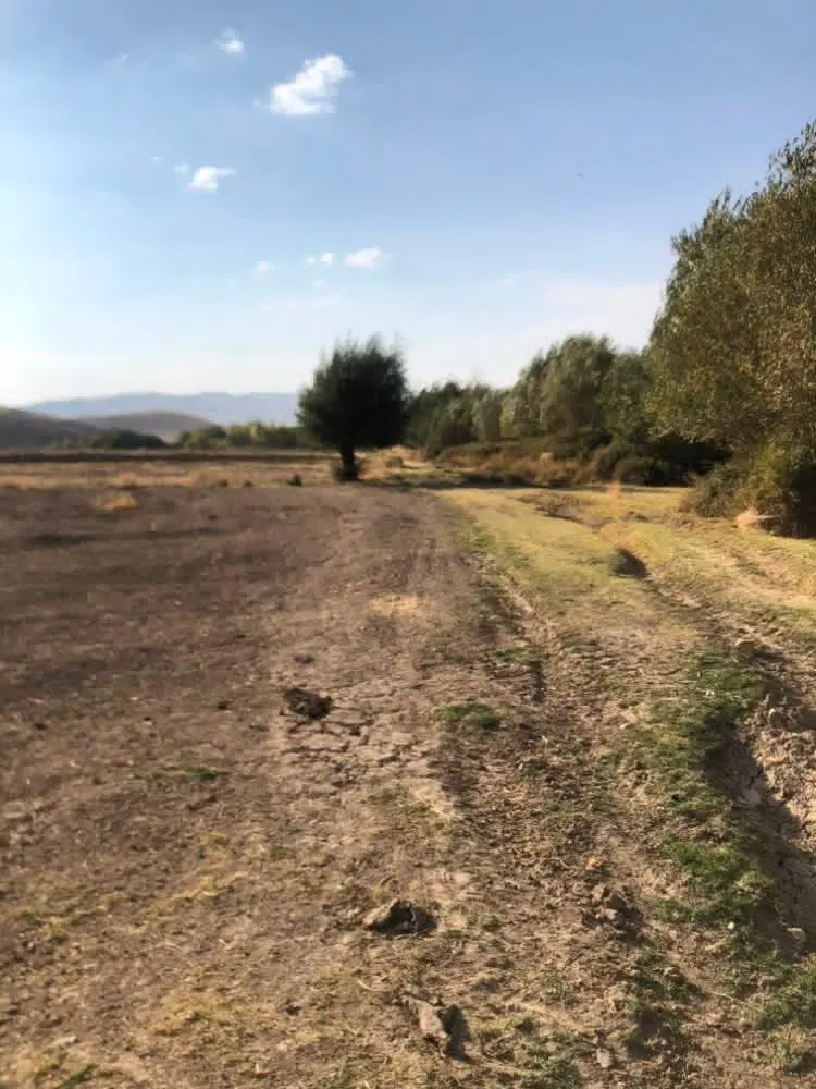 زمین کشاورزی داری سندتک برگ زراعی و باغی