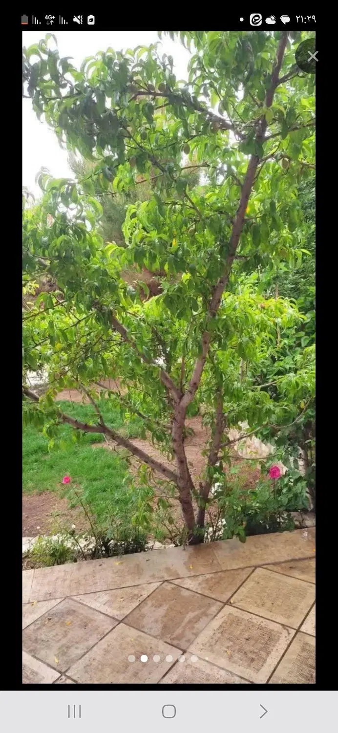 فروش باغ داخل مجموعه باغ های دانشگاه مبارکه