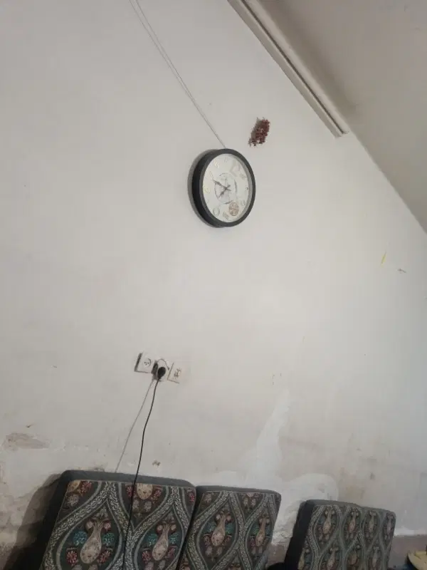 همخونه خانم دونفر پول پیش خودم گذاشتم