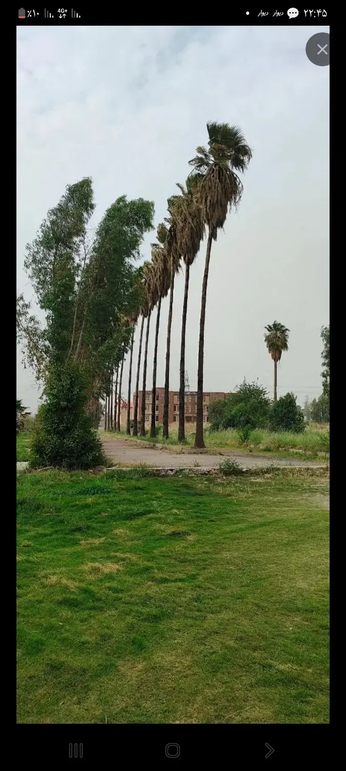 زمین تجاری زیباشهر