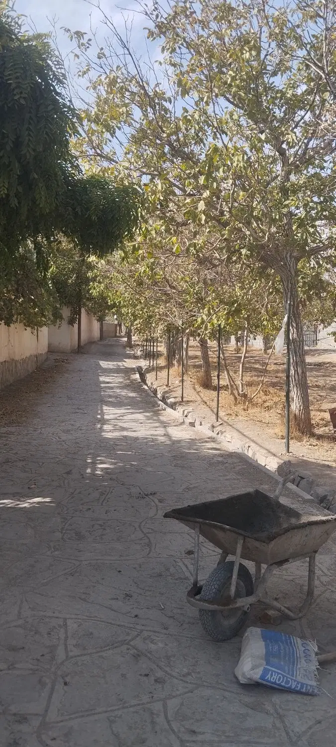 باغ گردو