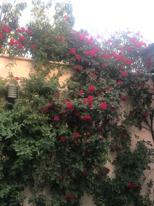 ویلایی ۲۱۷متری گلستان مهرشهر