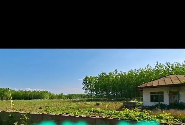 زمین مسکونی باغی 14هزار متری