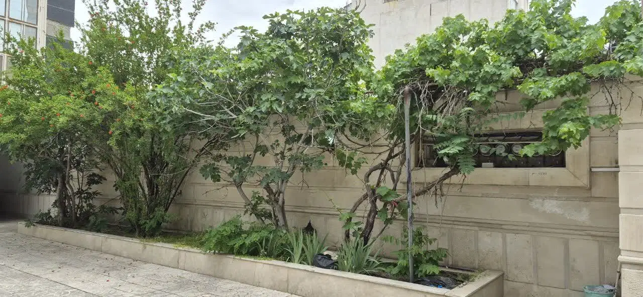 ۱۲۰ متری آپارتمانی