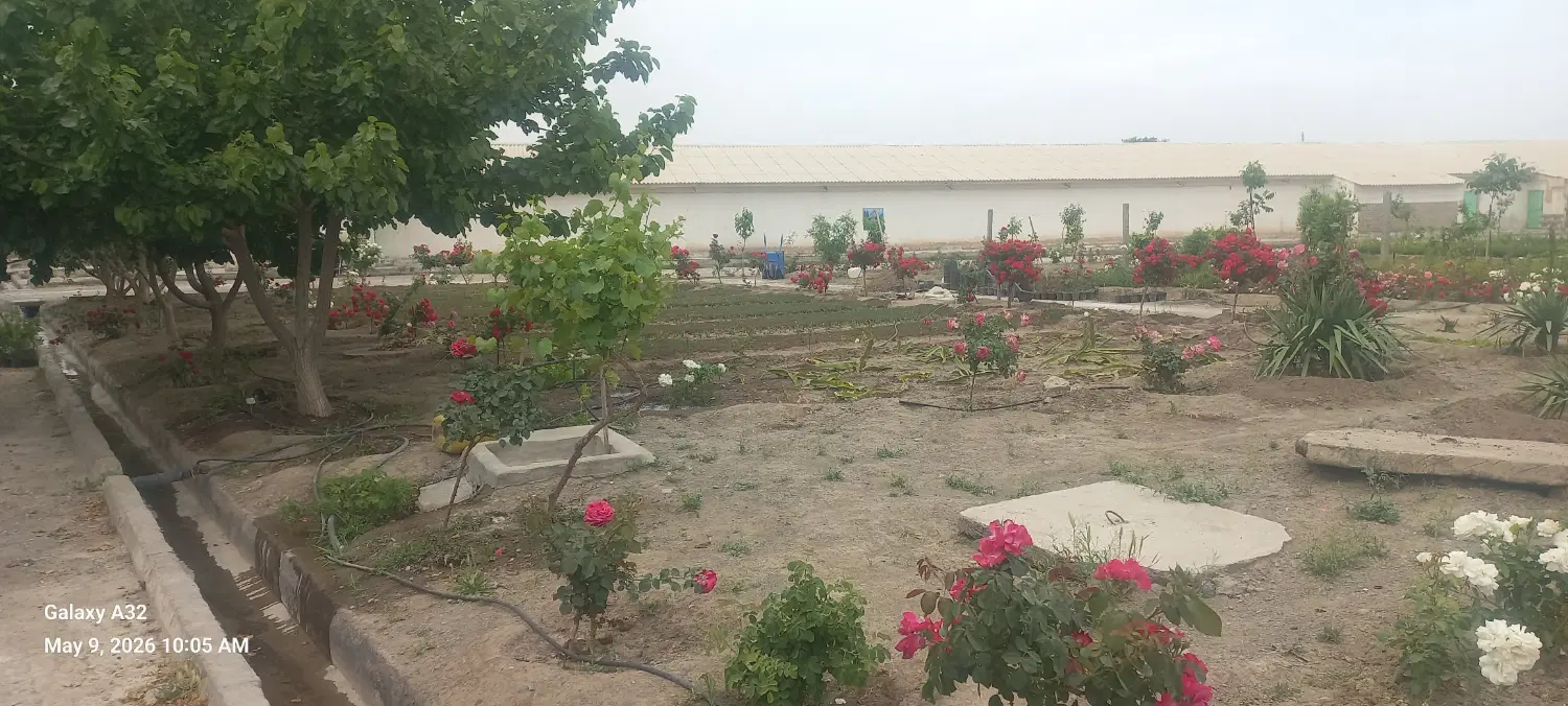 ۱۸۰ متر زمین نزدیک محدوده شهری