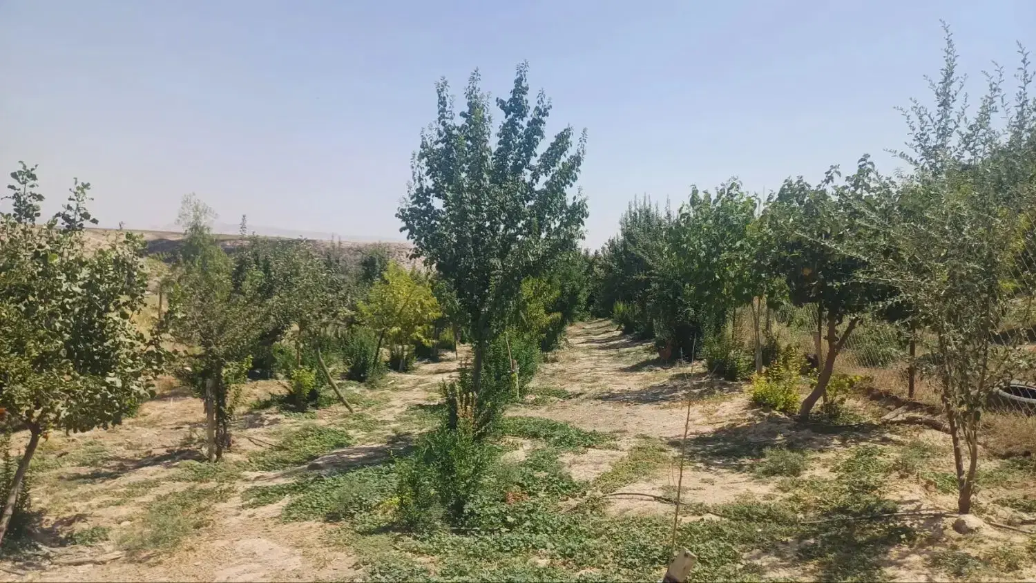خانه باغ