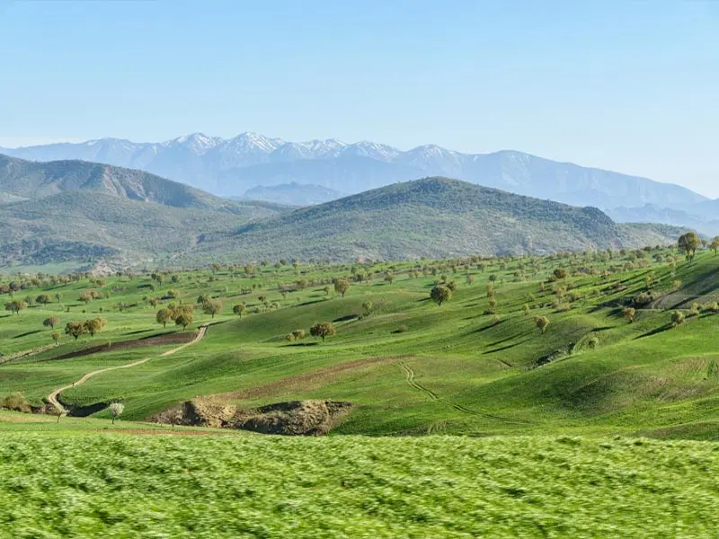 زمین آبی ۵۲۰ متری قلعه سنگی باغدایی دوم