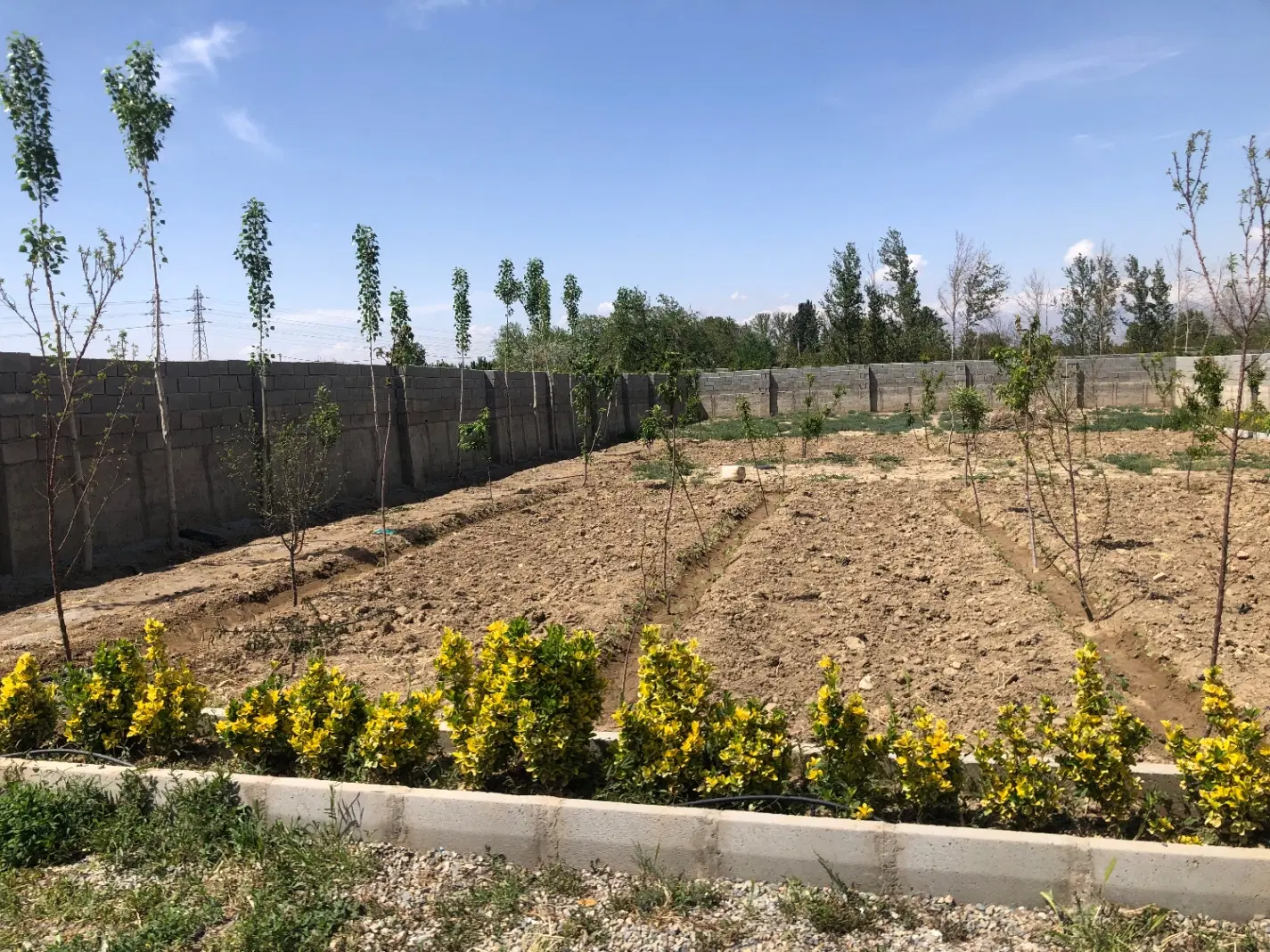 باغ باغچه
