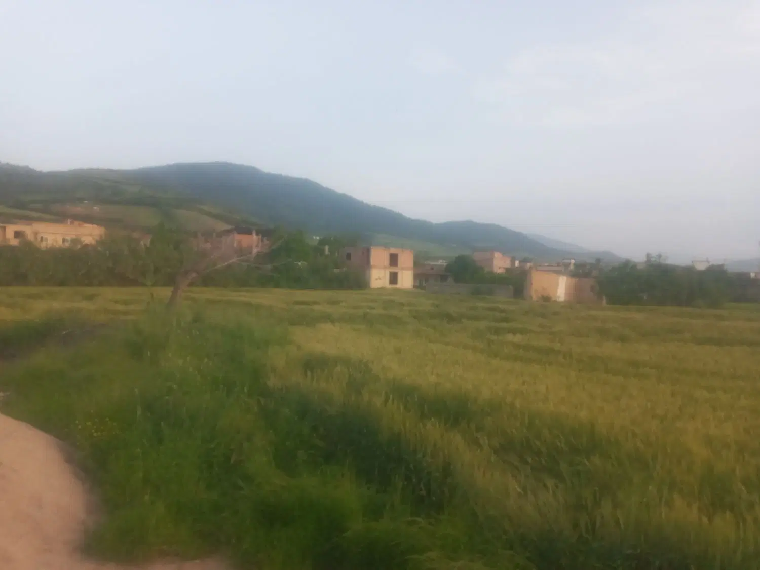 زمین مسکونی در کلوکند نرسیده به القجر