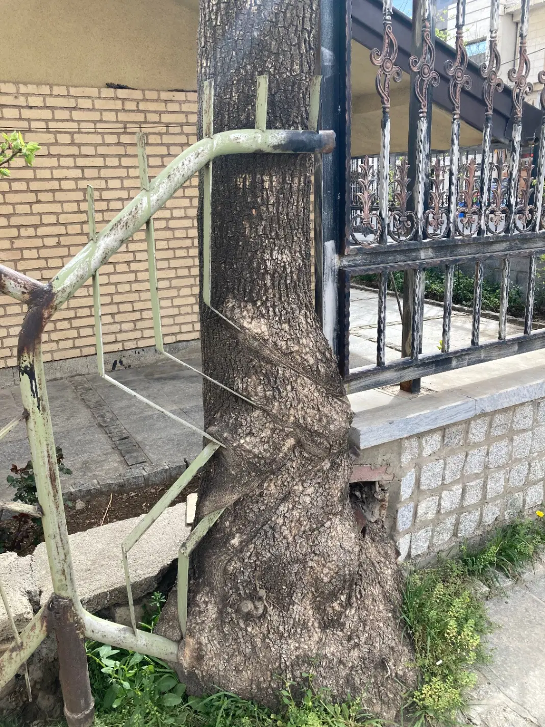 اپارتمان