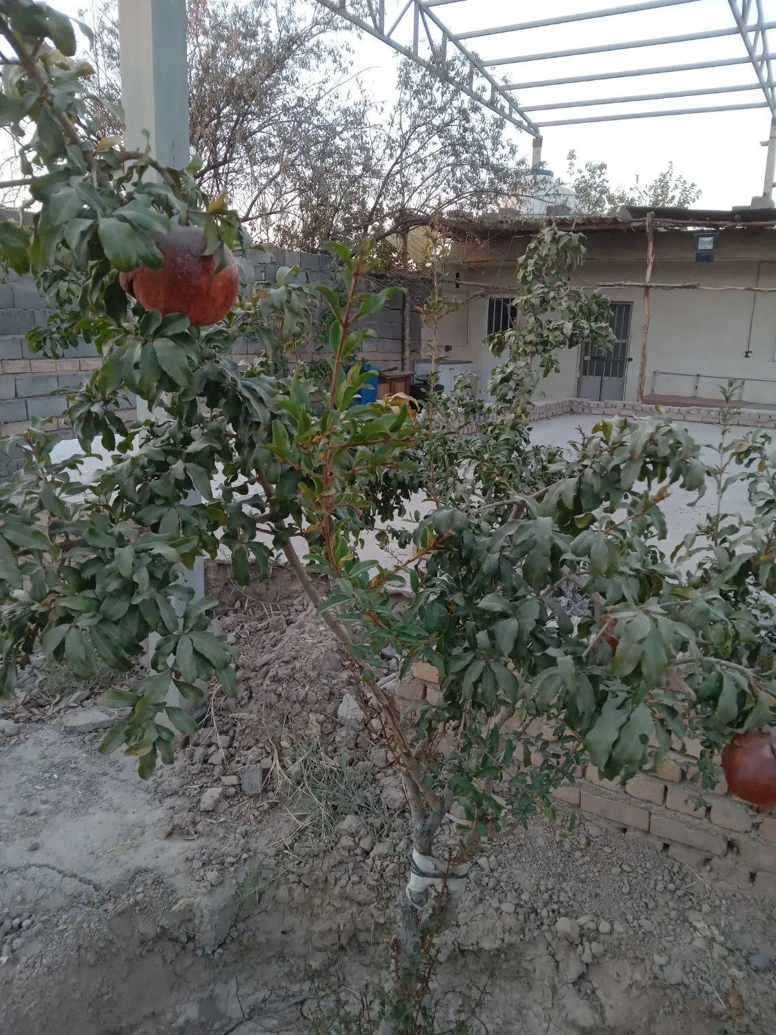 زمین فروشی