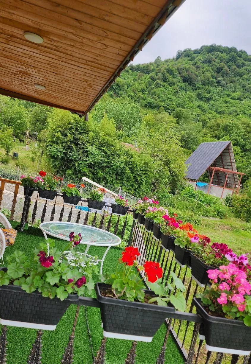 کلبه چوبی دوبلکس جنگلی زیر بام سبز ماسال
