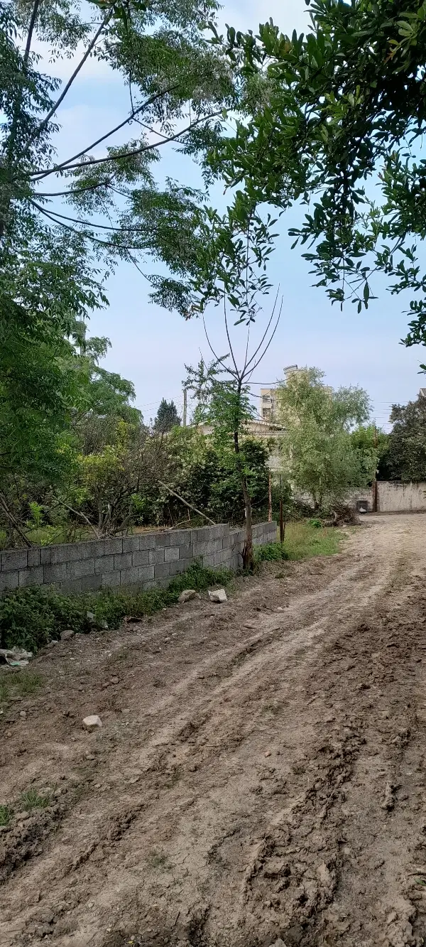 زمین مولایی غربی ۱۷