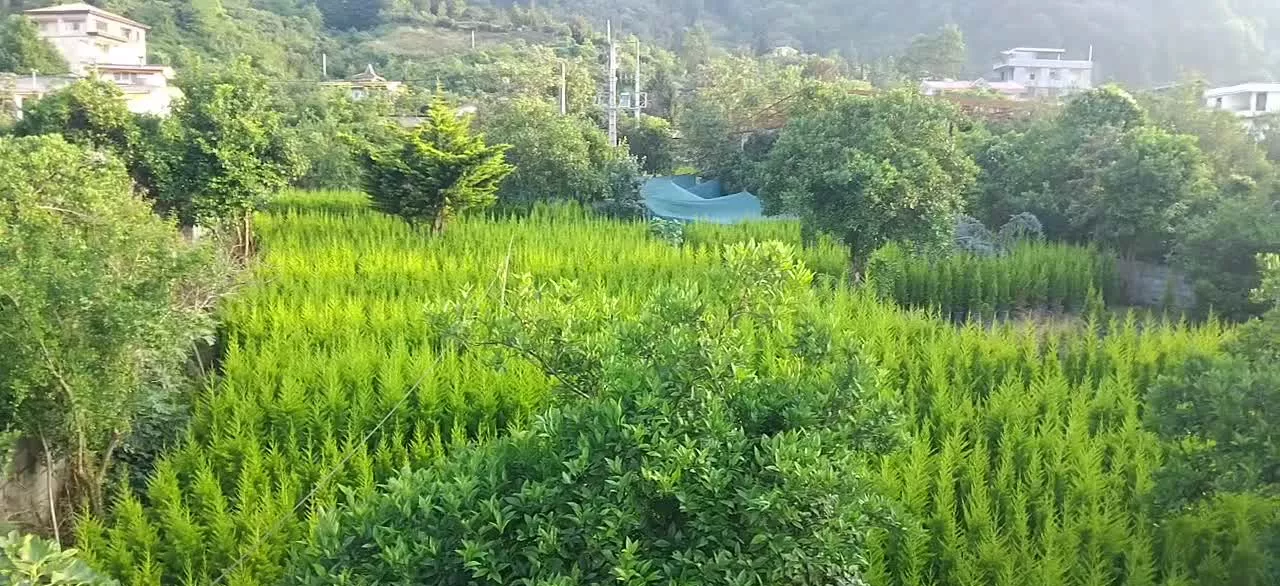 زمین مسکونی