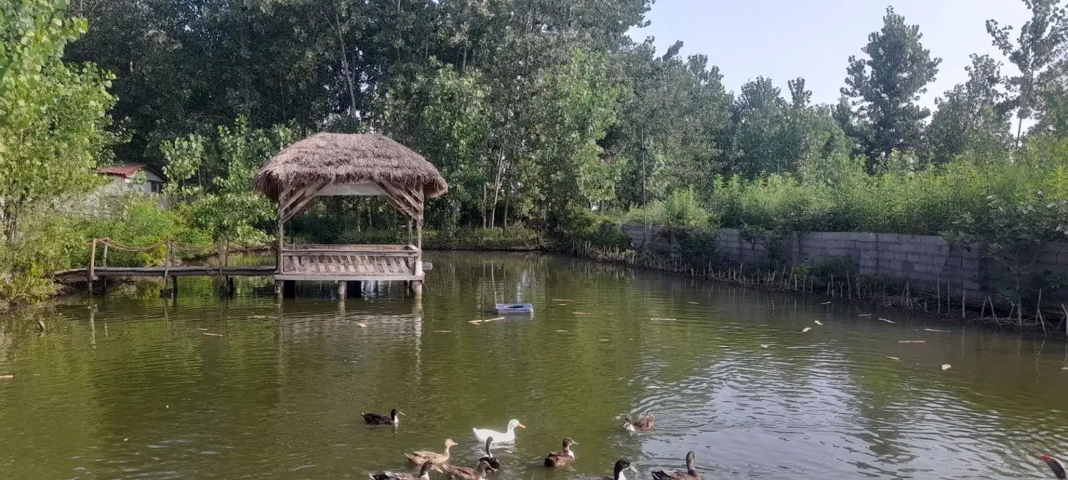 اجاره کوتاه مدت