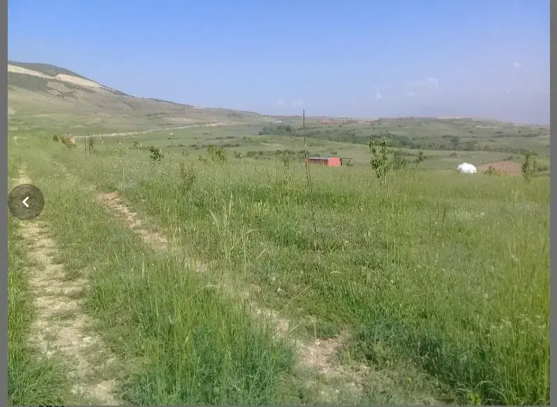 زمین باغی و کشاورزی