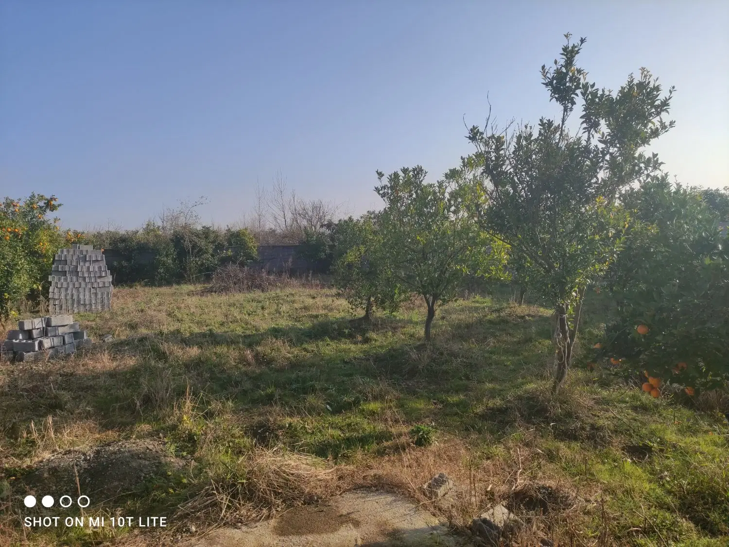۹۴۷ متر زمین مسکونی