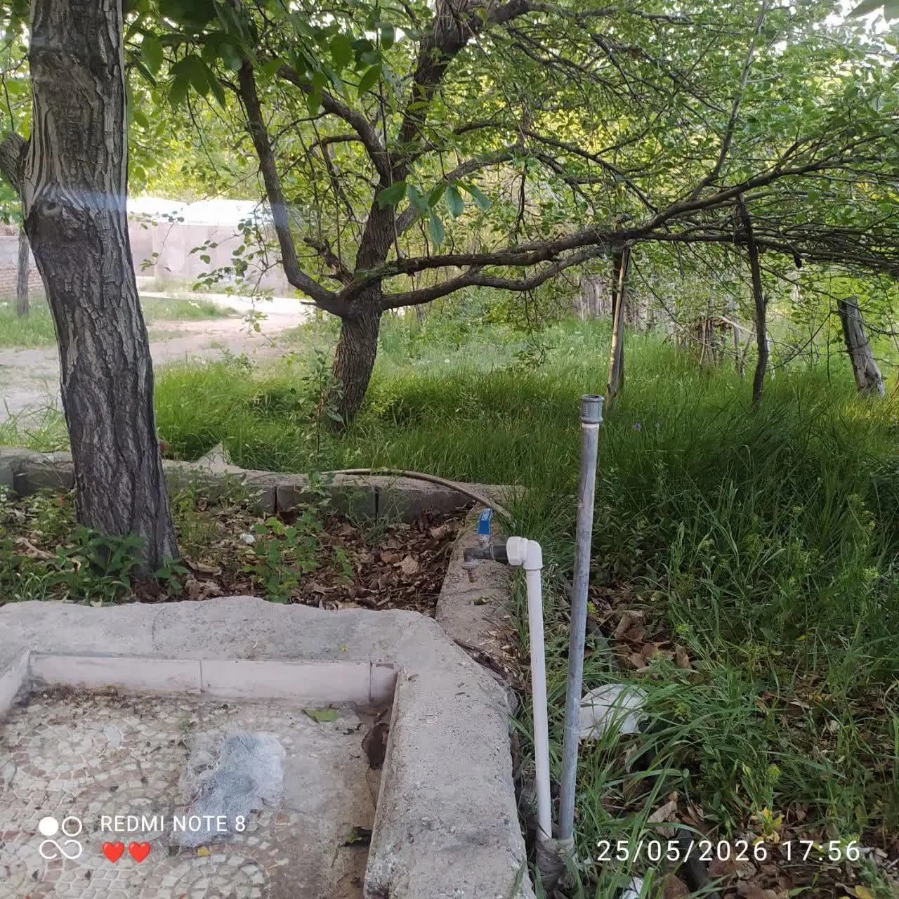 زمین واقع ساردوئیه روستای باغعلیشر