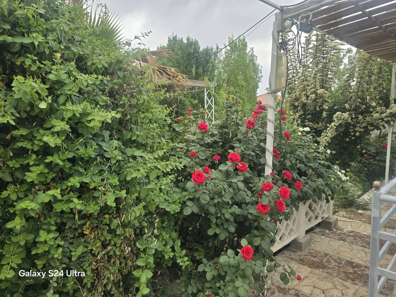 باغ دهکده تفریحی برکان بعد از جار