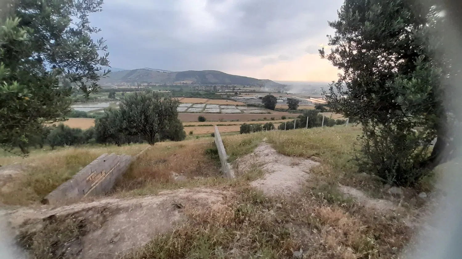 زمین