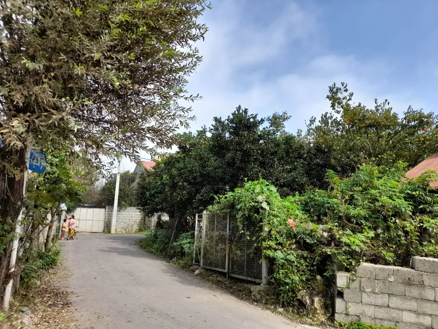 زمین مسکونی ماچیان رودسر