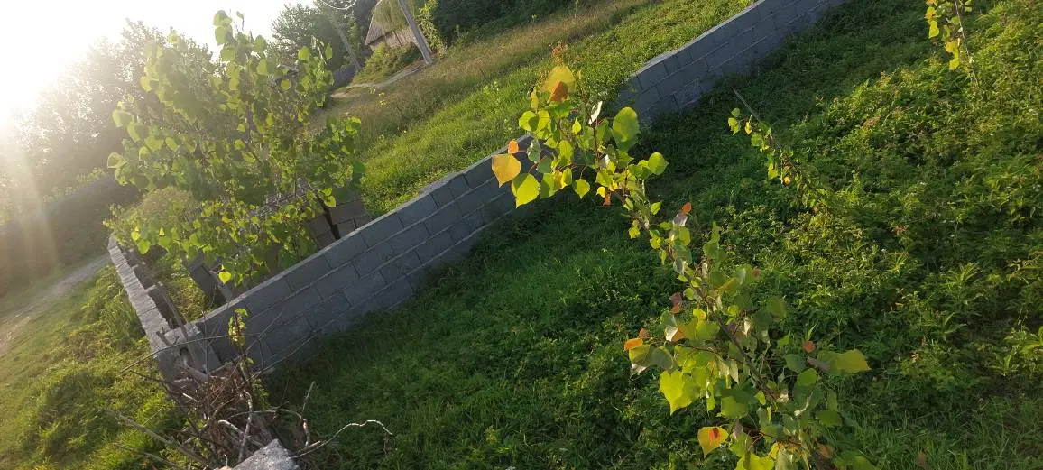 زمین350مترچهاردیواری(سندتک برگ)