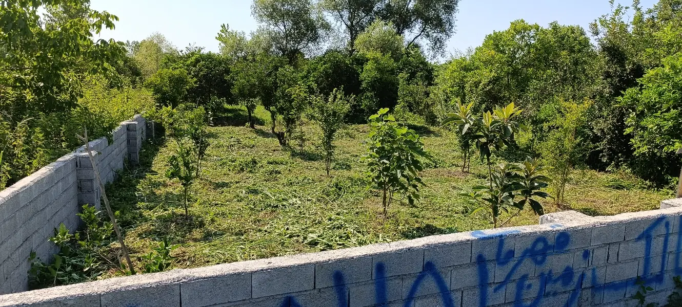 فروش زمین چالوس