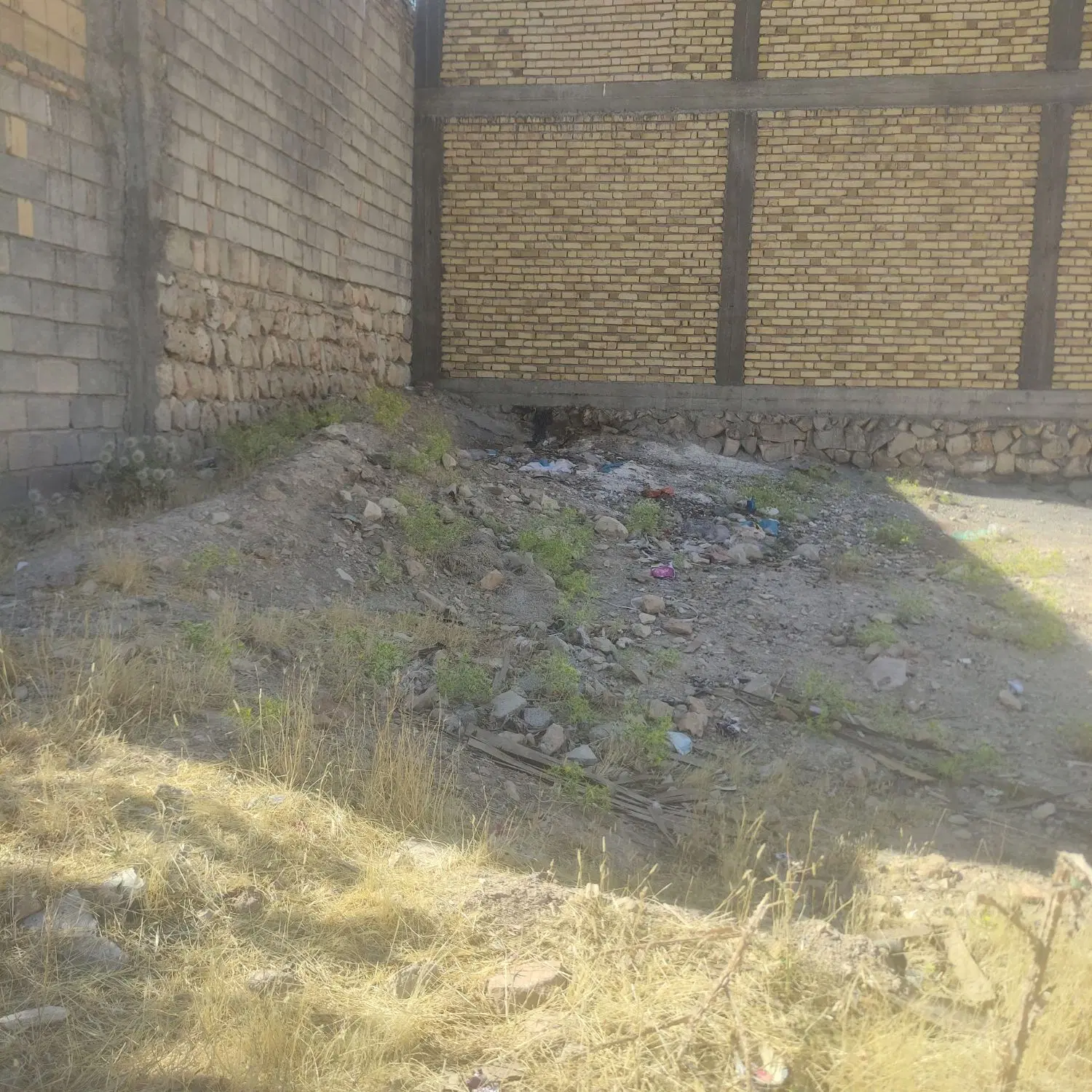 زمین دینی پژو
