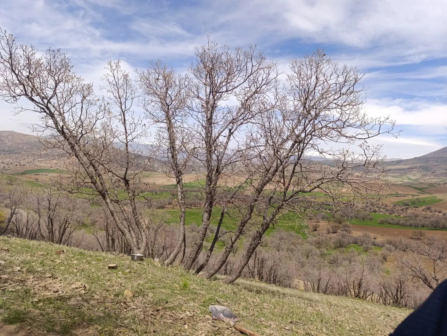 یک‌قطعه‌زمین‌تجاری‌مسکونی‌شهرک‌اذربایجان