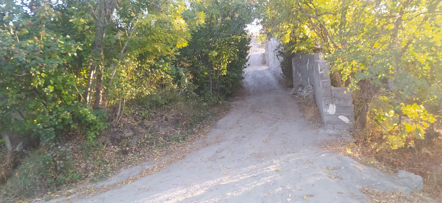 زمین باغی، ملکی