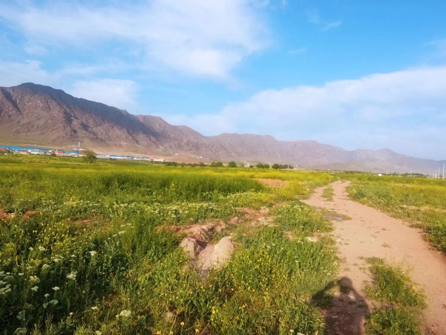 زمین آبی کمالوند روبه شهرک صنعتی شماره 3