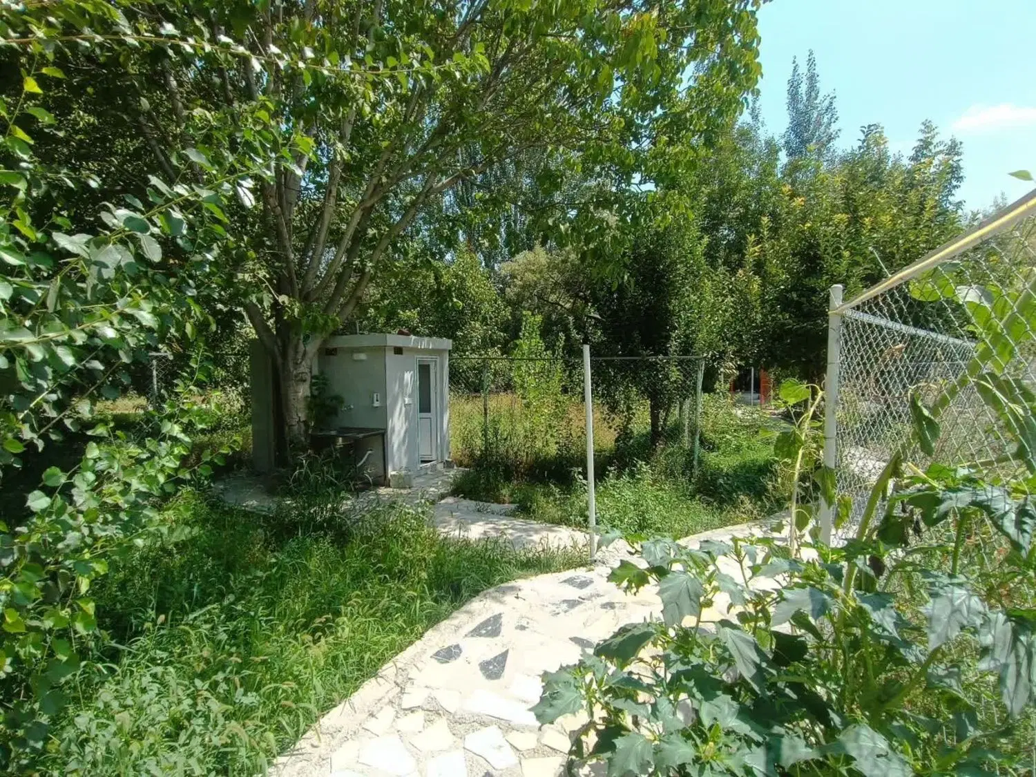 اجاره ویلالب اب عالی