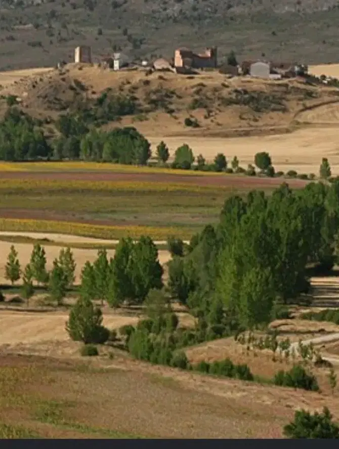 فروش زمین