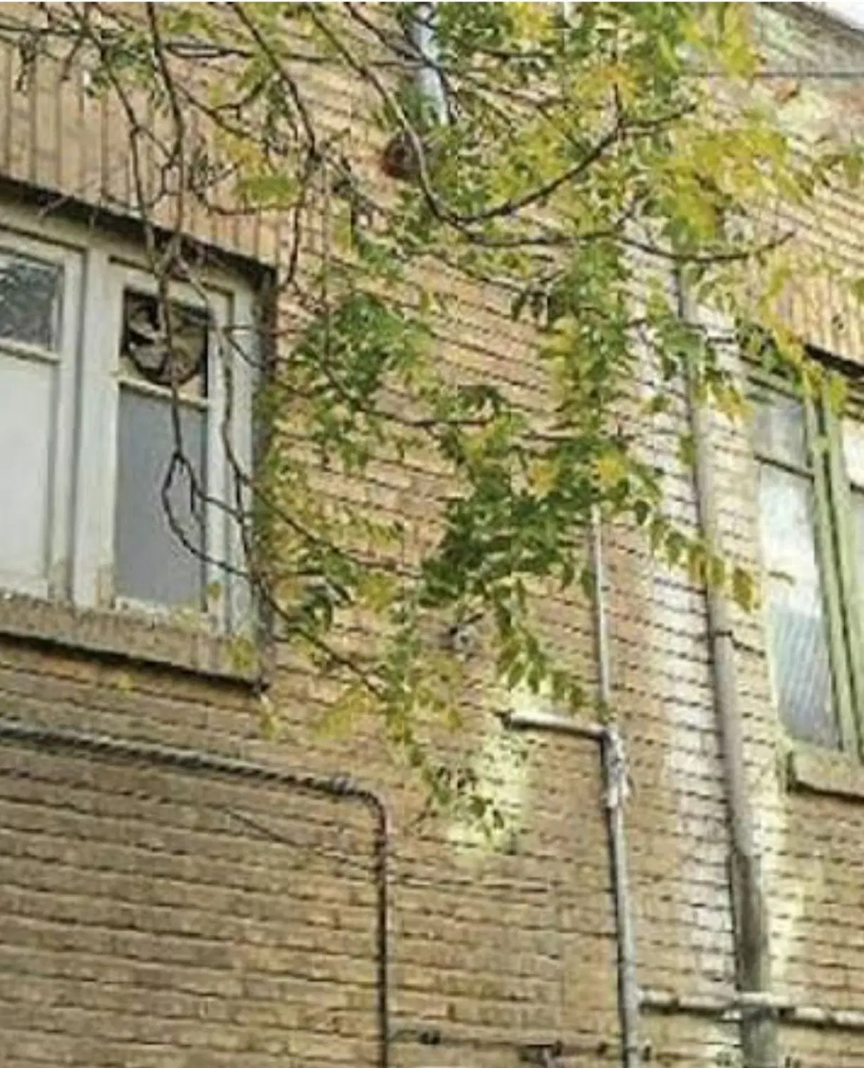 ملک ویلایی