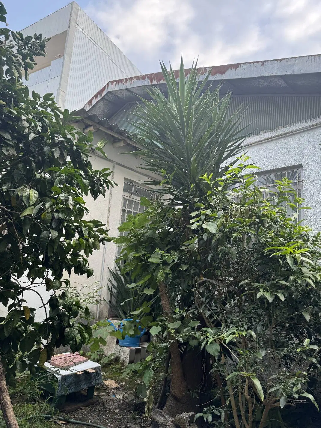 فروش زمین ۵۰۰ متری در بهترین جای روستای برار