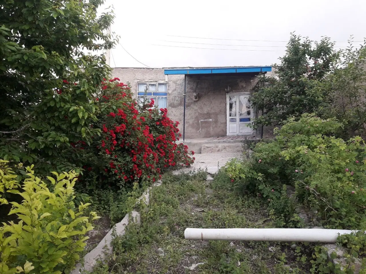 حیاط باغ روستایی