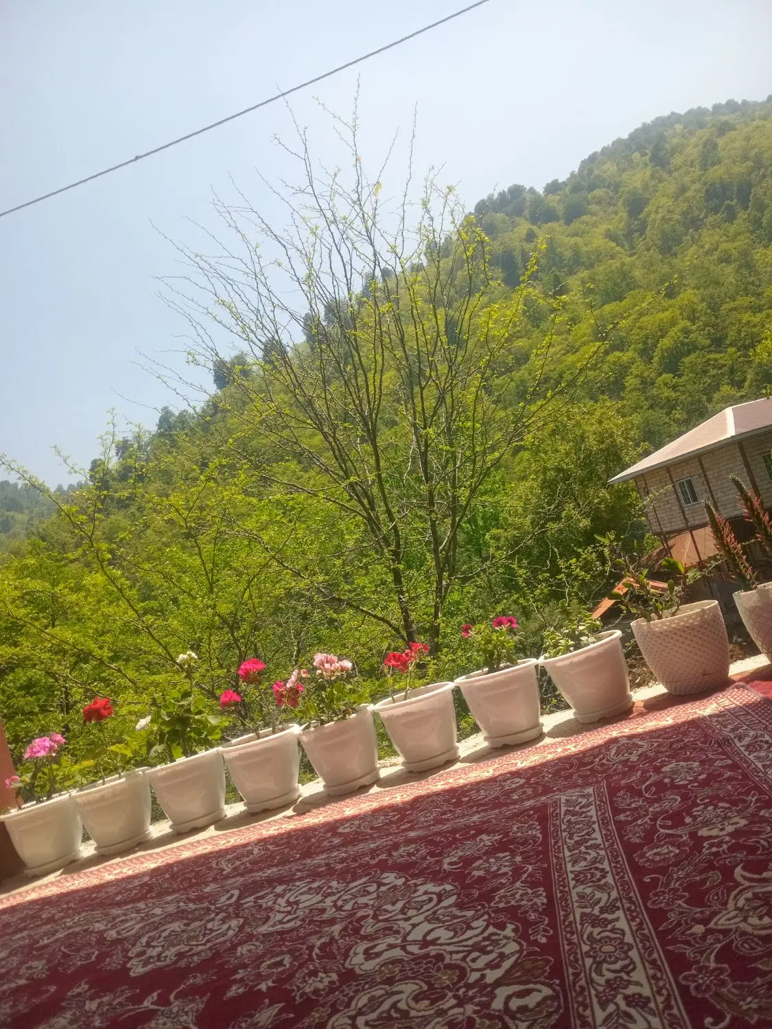ویلا یک خواب