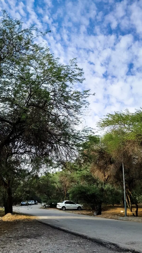 زمین۲۰۰ متری فردوس ۱