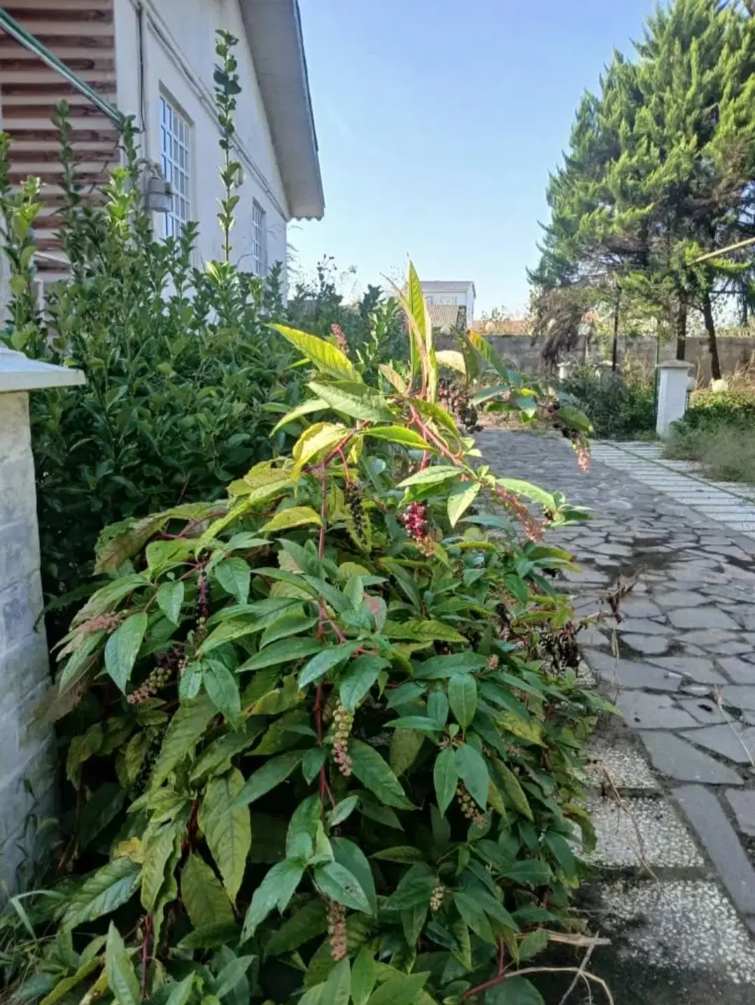 رهن ۱۵۲ متری خوش جا کلید اول
