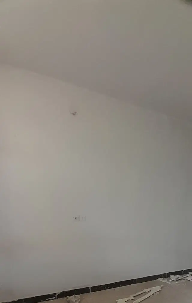 همخونه